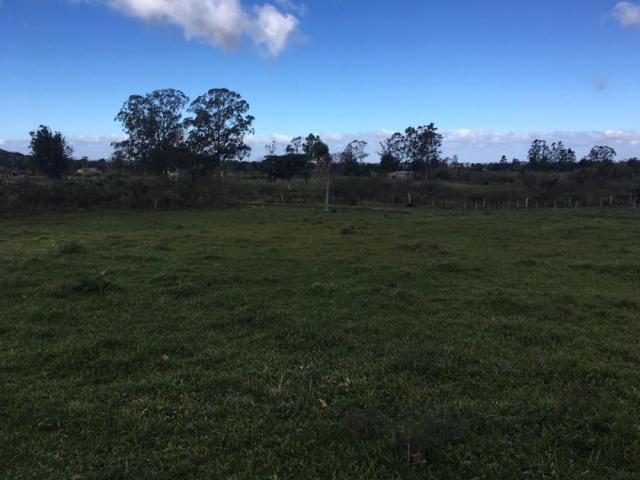 #29 - Chácara para Venda em Viamão - RS