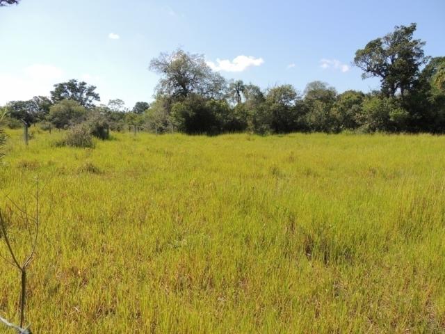 #57 - Terreno para Venda em Viamão - RS - 2