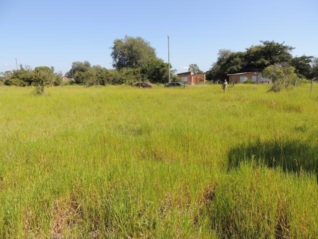Terreno para Venda em Viamão - 4