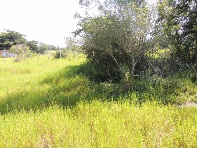 Terreno para Venda em Viamão - 5