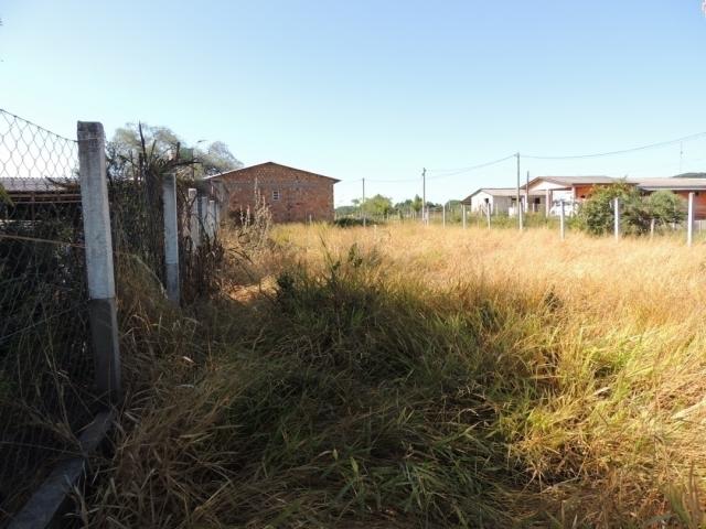 #60 - Terreno para Venda em Viamão - RS - 3