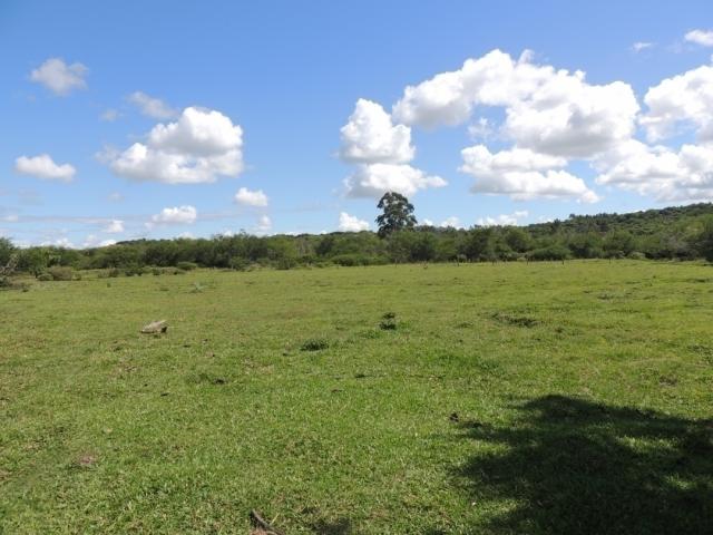 #69 - Sítio para Venda em Viamão - RS