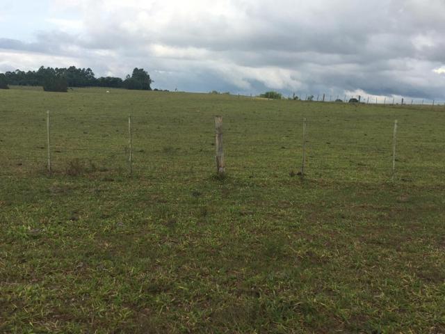 #113 - Fazenda para Venda em Viamão - RS - 3