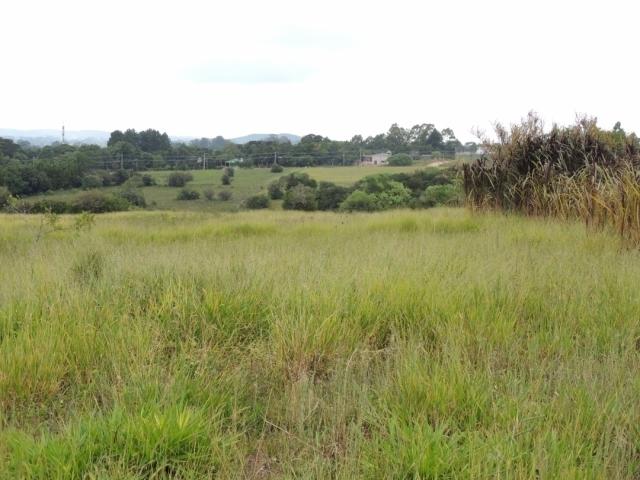 #115 - Terreno para Venda em Viamão - RS - 3