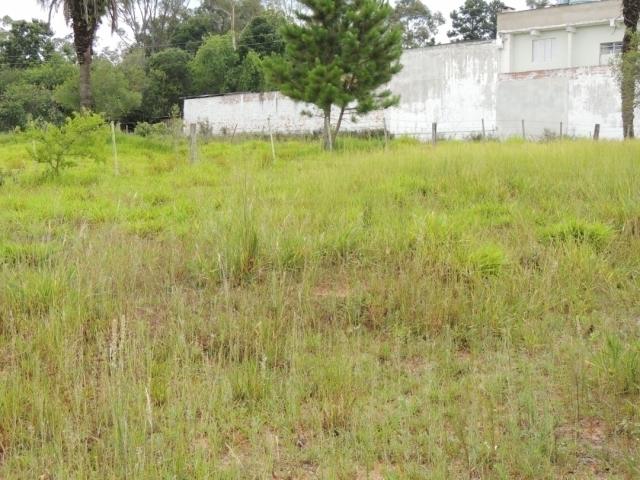 Terreno para Venda em Viamão - 5