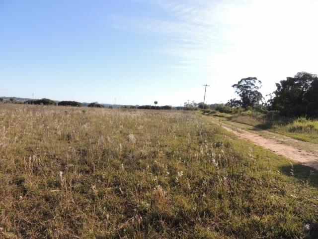 Terreno para Venda em Viamão - 4