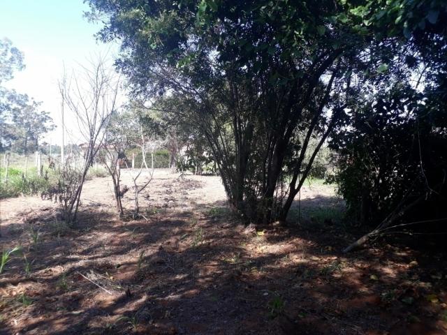 Terreno para Venda em Viamão - 4