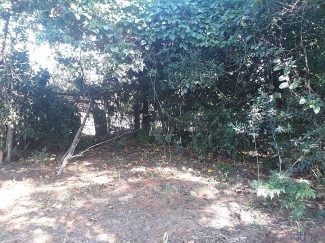 #225 - Terreno para Venda em Viamão - RS - 3