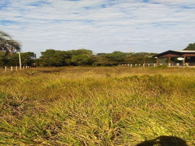 #229 - Terreno para Venda em Viamão - RS - 3