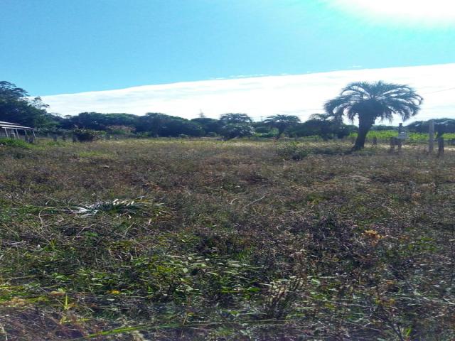 Terreno para Venda em Viamão - 4