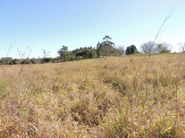 Terreno para Venda em Viamão - 4