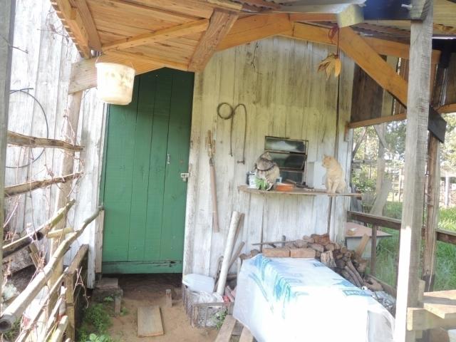 Sítio para Venda em Viamão - 4