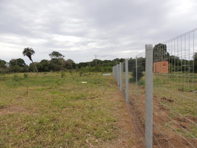 Terreno para Venda em Viamão - 4