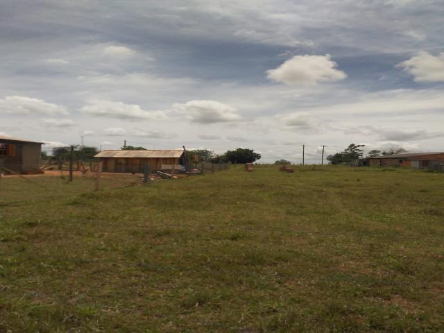 Terreno para Venda em Viamão - 4