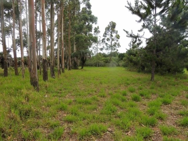 #321 - Chácara para Venda em Viamão - RS