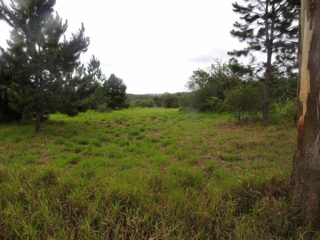 #321 - Chácara para Venda em Viamão - RS