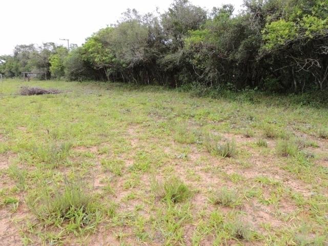 Terreno para Venda em Viamão - 5