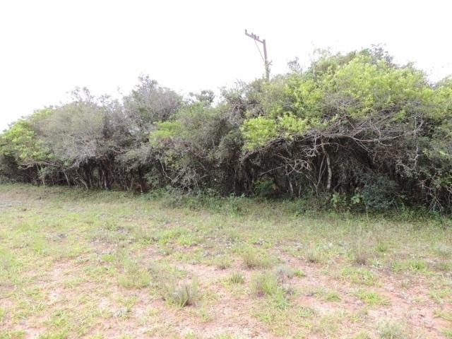 Terreno para Venda em Viamão - 4