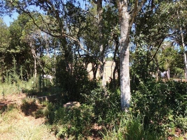 Terreno para Venda em Viamão - 5