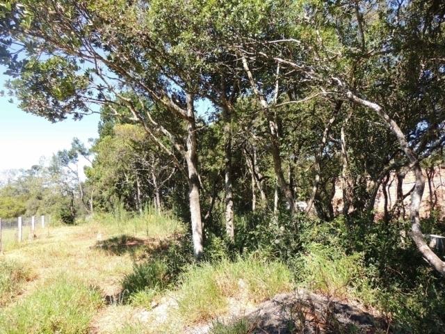 #350 - Terreno para Venda em Viamão - RS - 3
