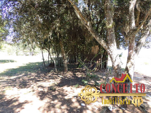 #384 - Sítio para Venda em Viamão - RS