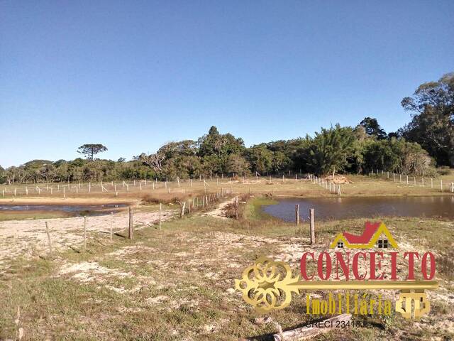 Chácara para Venda em Viamão - 5