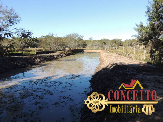 #448 - Sítio para Venda em Viamão - RS