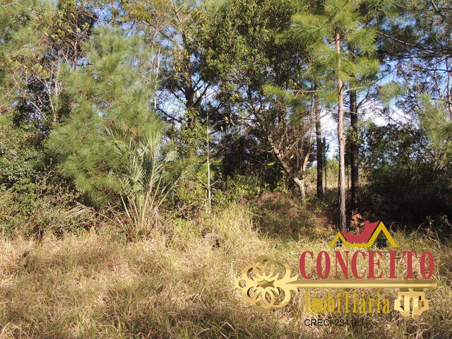 Terreno para Venda em Viamão - 4