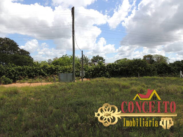 Terreno para Venda em Viamão - 5
