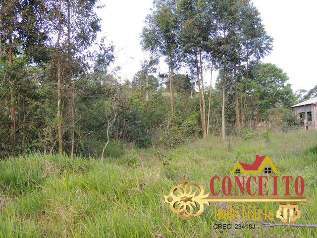 Terreno para Venda em Viamão - 4