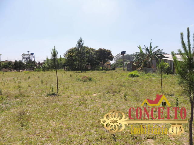 Terreno para Venda em Viamão - 4