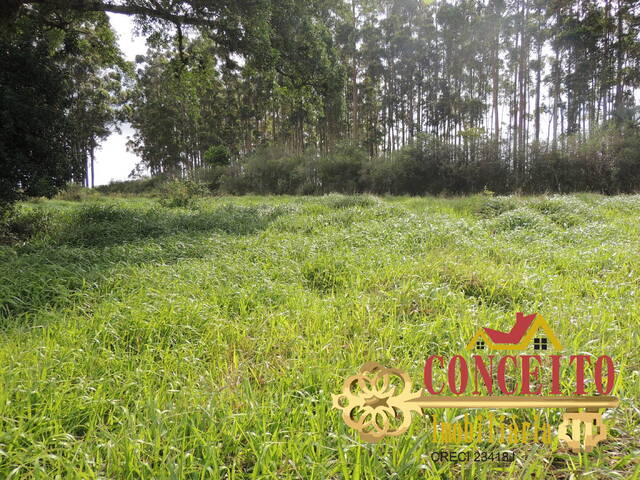 Chácara para Venda em Viamão - 4