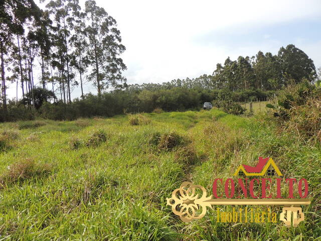 Chácara para Venda em Viamão - 5