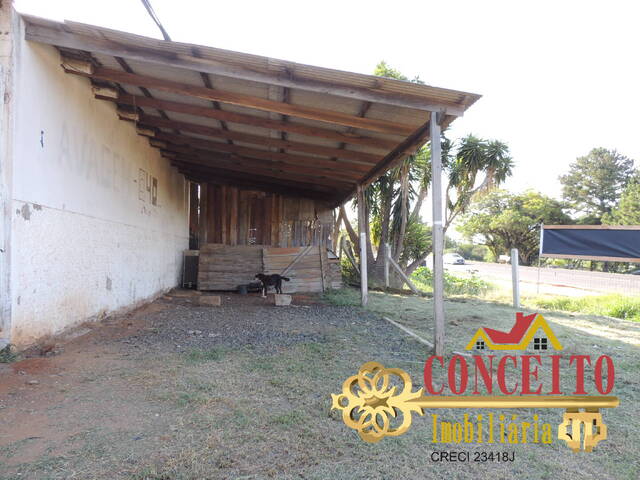 Ponto Comercial para Venda em Viamão - 4