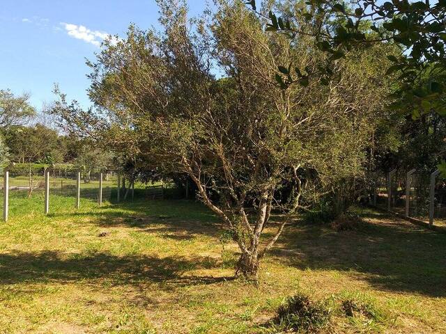 Terreno para Venda em Viamão - 5