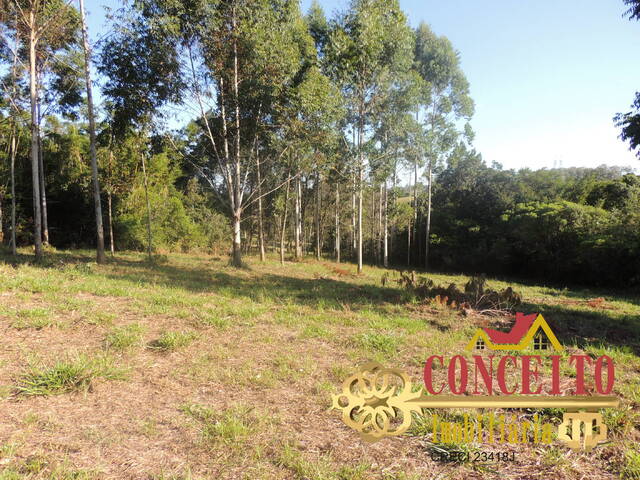 #615 - Chácara para Venda em Viamão - RS