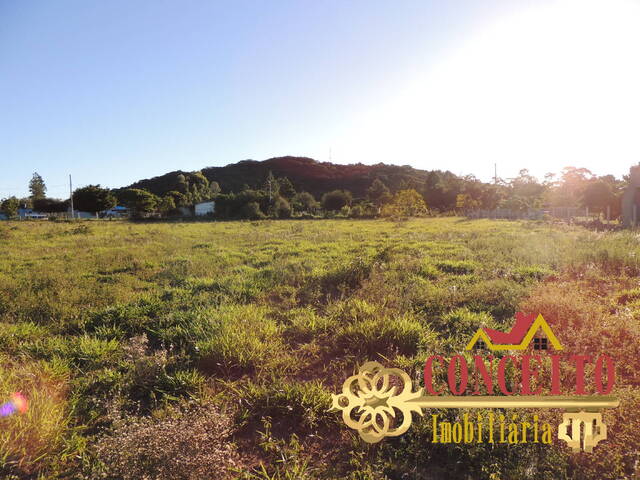 Terreno para Venda em Viamão - 5