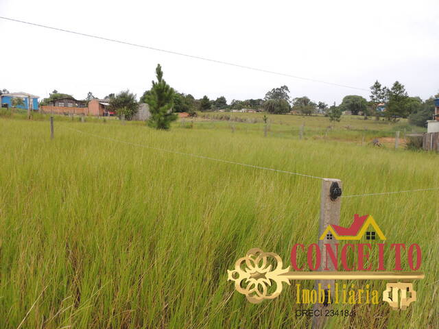 #630 - Terreno para Venda em Viamão - RS - 3