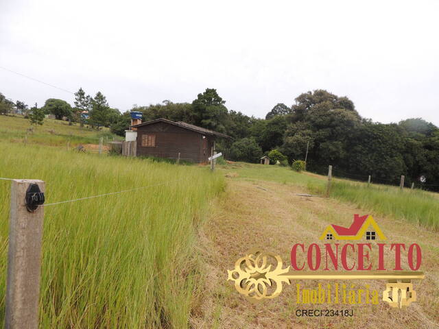 Terreno para Venda em Viamão - 4