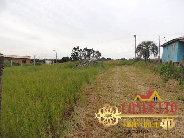Terreno para Venda em Viamão - 5