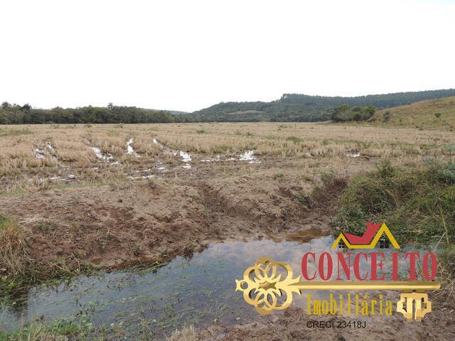 #681 - Fazenda para Venda em Tapes - RS - 2