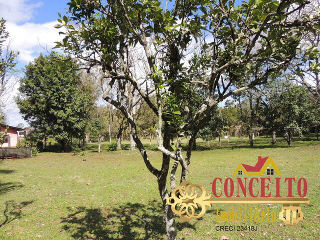 #703 - Terreno para Venda em Viamão - RS - 2