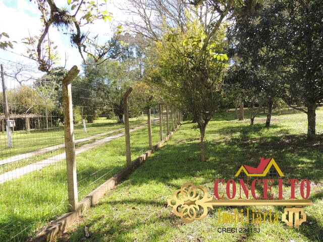 Terreno para Venda em Viamão - 4