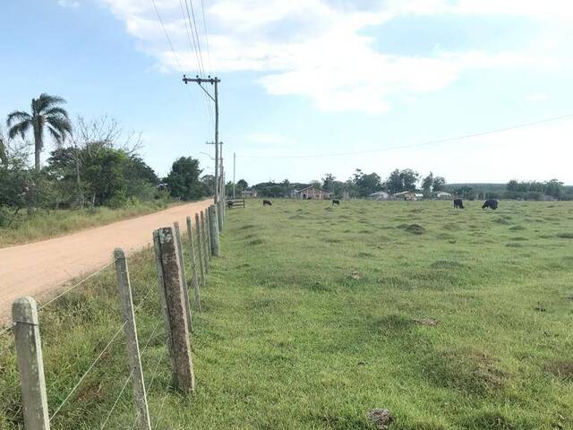 Chácara para Venda em Viamão - 4