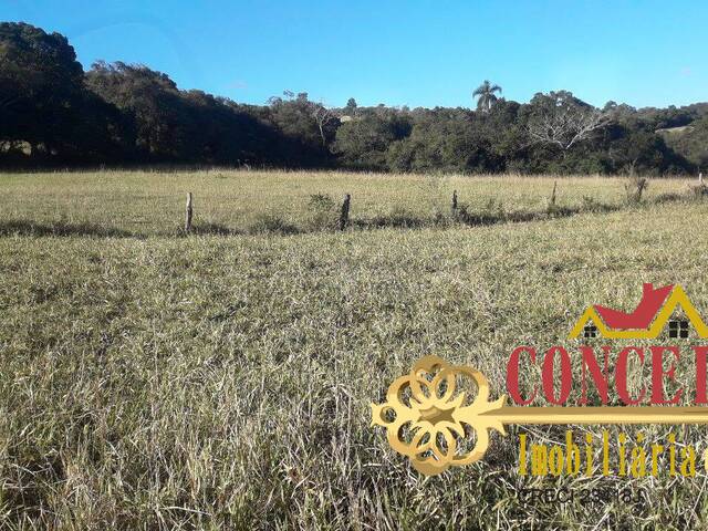 Chácara para Venda em Viamão - 4