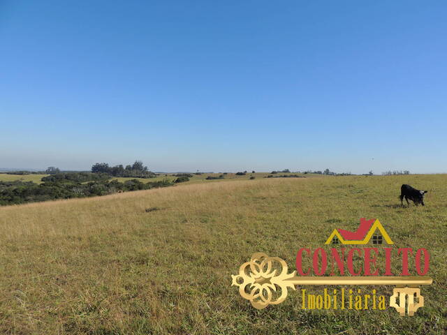 #834 - Fazenda para Venda em Viamão - RS