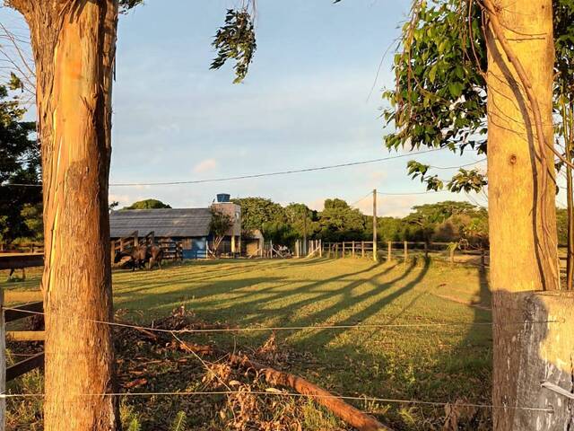 Chácara para Venda em Viamão - 5