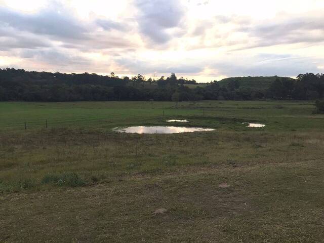 Chácara para Venda em Viamão - 4