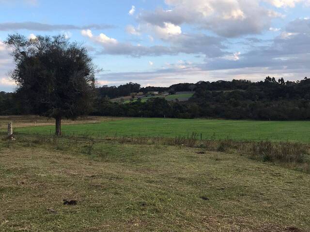 Chácara para Venda em Viamão - 5