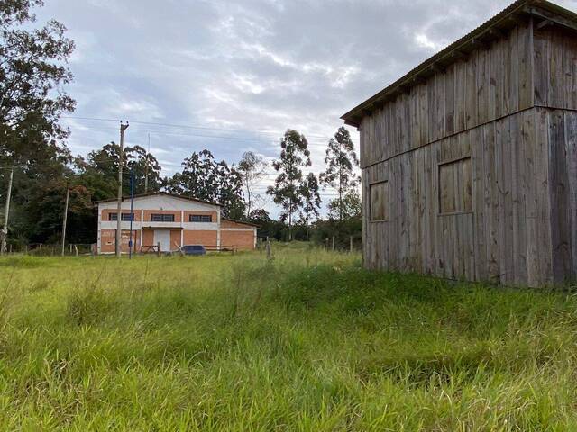 Sítio para Venda em Viamão - 4